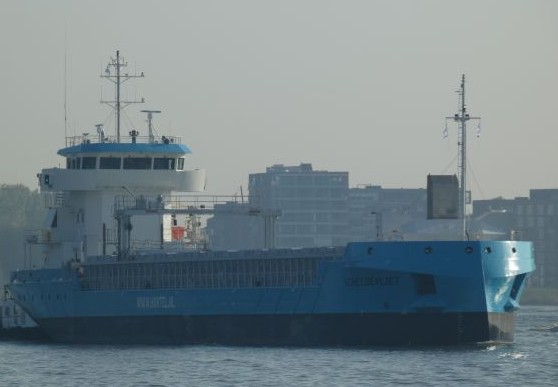 Scheldevliet