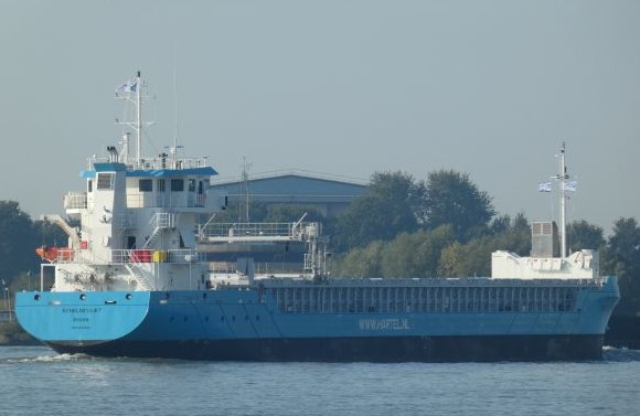 Scheldevliet